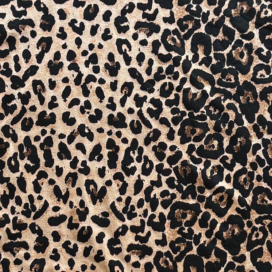 Prov 1 Leopard